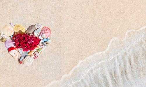Muscheln und Korallen in Herzform auf dem Sandstrand, daneben sanfte Wellen – romantisches Strandbild als Sinnbild für die Meeresleben Schmuckkollektion von Usedom Schmuck.