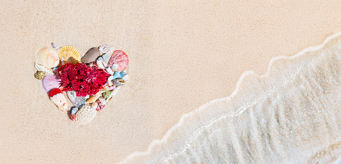 Muscheln und Korallen in Herzform auf dem Sandstrand, daneben sanfte Wellen – romantisches Strandbild als Sinnbild für die Meeresleben Schmuckkollektion von Usedom Schmuck.