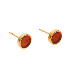 Bernstein Ohrstecker Silber 925 vergoldet 24k rund Cognac
